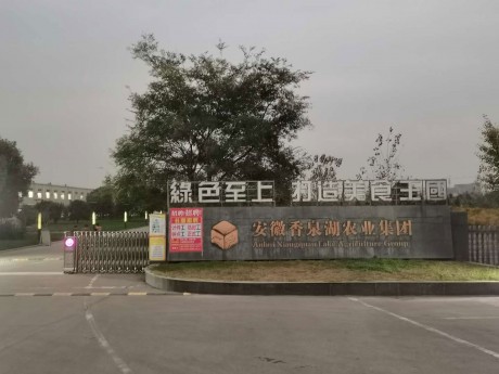 和縣經濟開發(fā)區(qū)巢寧路東側99號資產一批